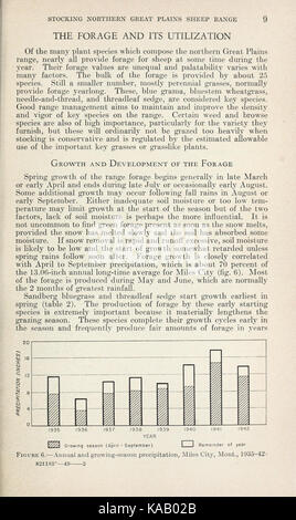 Les Grandes Plaines du nord plage de moutons pour la production élevée soutenue (page 9) BHL41748900 Banque D'Images