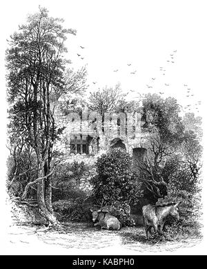 1870 : Les ânes en face du roi Charles dans la fenêtre du château de Carisbrooke, un château historique construit au 12e et 13e siècles. Situé dans le village de Carisbrooke (près de Newport), Charles J'ai été emprisonnée dans les mois avant son procès. L'île de Wight, Angleterre. Banque D'Images