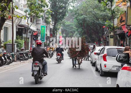 Les femmes rurales vente de fleurs dans les rues de hanoi tôt le matin. Banque D'Images