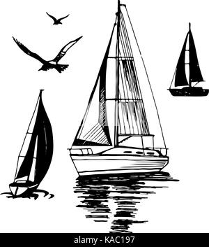 Yachts mer. Mouettes volantes. Illustration de Vecteur