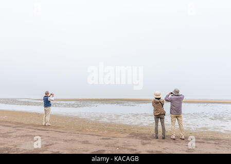 Walvis Bay, en Namibie - 1 juillet 2017 : les touristes non identifiés en regardant des pélicans et flamands roses à la lagune de Walvis Bay, sur la côte atlantique de la namibie Banque D'Images