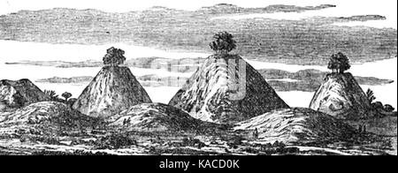 L'exploitation Bartlow Hills près de tumuli danois Essex Ashdon p57 Banque D'Images