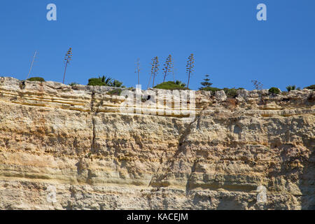 Geological formations rocheuses et des grottes sur la côte de l'algarve du Portugal Banque D'Images