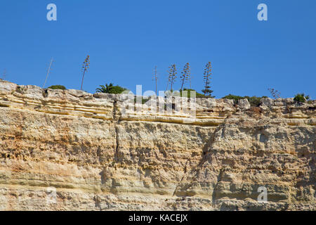 Geological formations rocheuses et des grottes sur la côte de l'algarve du Portugal Banque D'Images