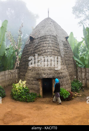 Dorze traditionnelles maison faite de bambou et de l'enset feuilles, Gamole, Ethiopie Banque D'Images