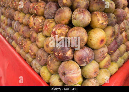 Hyderabad, Inde 25 septembre,2017.Common figs sont soigneusement disposées en couches à la vente par un vendeur de fruits de rue à Hyderabad, Inde Banque D'Images