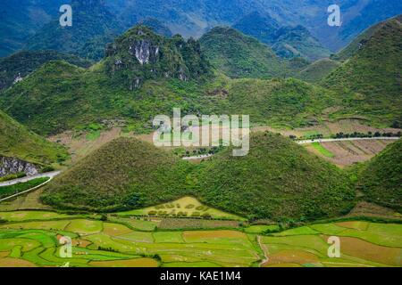 Conte de sein est situé dans la ville, fils tam quan ba district, province de Ha Giang, Vietnam. En septembre champs colorés un paysage unique le mélange coloré Banque D'Images