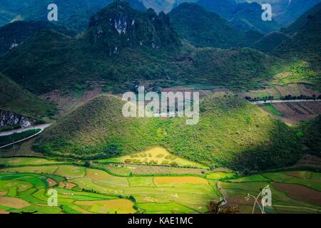 Conte de sein est situé dans la ville, fils tam quan ba district, province de Ha Giang, Vietnam. En septembre champs colorés un paysage unique le mélange coloré Banque D'Images