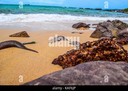 Le lever du soleil sur la mer. pierre sur l'avant-plan Banque D'Images