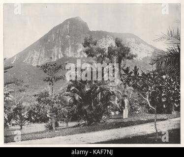 Jardins botaniques et Mt. Corcovado, Rio de Janeiro, Brésil Banque D'Images