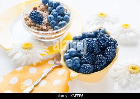 Céréales saines authentique, bleuets, mûres et muesli avec des fruits et des noix. Copier l'espace. La structure horizontale. Banque D'Images