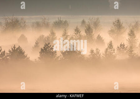 L'humeur du matin dans une ancienne exploitation à ciel ouvert de charbon mou Banque D'Images