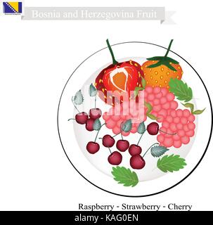 Fruits de Bosnie, illustration de framboise, fraise et cerise. Les célèbres fruits de la Bosnie-Herzégovine. Illustration de Vecteur