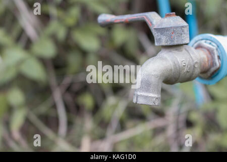 Fermer le robinet d'eau bleu métal vieux dans la forêt. La pénurie d'eau concept. Banque D'Images