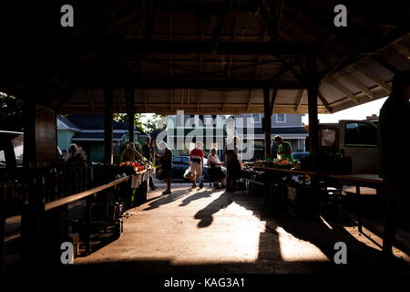 Les consommateurs dans le marché des fermiers dans la région de horton st. thomas, sur, sur sept. 23, 2017. Le marché a commencé en 1878 comme un producteur local de marché. Banque D'Images