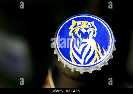 Bouteille de bière et le cap - Tiger (bière brassée au Royaume-Uni - Asiatique par Heineken) Banque D'Images