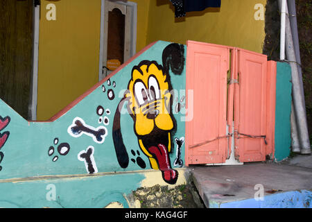 Dingo chien peint comme une peinture murale au rainbow village de Semerang, Indonésie Banque D'Images