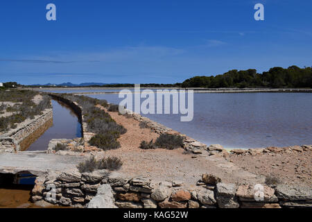 Les salines de Formentera, Ibiza avec sel cristallisation dans les eaux peu profondes Banque D'Images