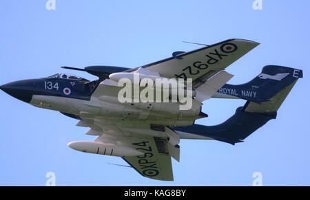 Seavixen à Duxford flying royal navy fighter Banque D'Images