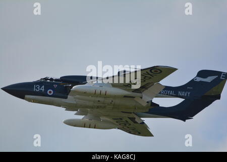 Seavixen à Duxford flying royal navy fighter Banque D'Images