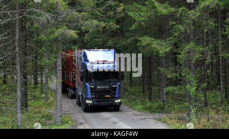 Laukaa, Finlande - le 22 septembre 2017 : blue scania r650 xt logging truck apparaît entre les épinettes sur un essai de route le long de la route forestière au cours de Scania l Banque D'Images