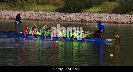 Dragon Boat Race sur Fühlinger See, Cologne Banque D'Images