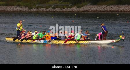 Dragon Boat Race sur Fühlinger See, Cologne Banque D'Images