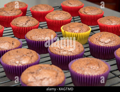 Petits gâteaux au chocolat sur une grille de refroidissement Banque D'Images