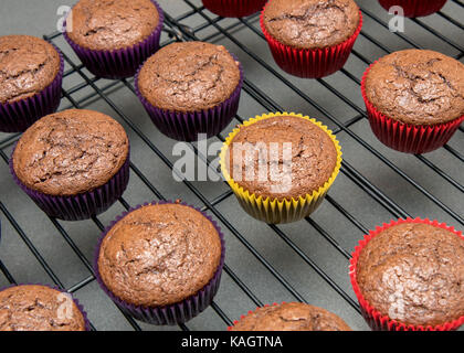 Petits gâteaux au chocolat sur une grille de refroidissement Banque D'Images