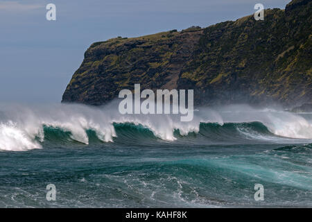 Forte houle, les vagues, les embruns, le baia da Ribeira das cabras, île de Faial, Açores, Portugal Banque D'Images