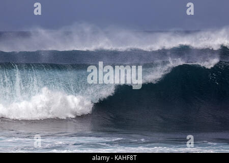 Vagues déferlantes, forte houle, gerbe, île de Faial, Açores, Portugal Banque D'Images