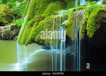 Détail de belle cascade pleine de mousse verte, la cascade de Brasov, bigar Roumanie Banque D'Images