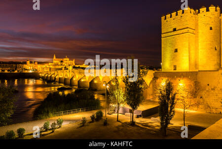 Forteresse illuminée Torre de la Calahorra avec Puente Romano, pont romain sur Rio Guadalquivir, derrière la Mezquita Banque D'Images