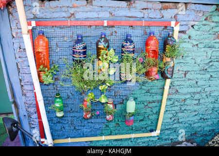 Les bouteilles en plastique utilisées comme des jardinières au rainbow village de Semerang, Indonésie Banque D'Images