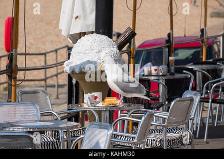 Goéland argenté à déjeuner dans un café à Lyme Regis, dans le Dorset, UK. Banque D'Images