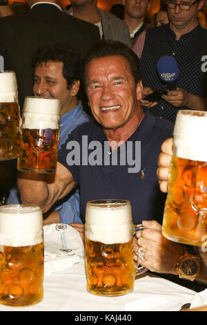 Les acteurs Arnold Schwarzenegger célèbrent avec la bière de masse dans le Schützenzelt Festzelt lors de la 184e Oktoberfest sur Theresienwiese le mardi 26 septembre 2017 à Munich | Verwendung weltweit Banque D'Images