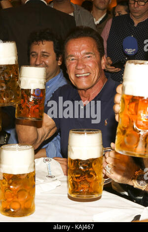 Les acteurs Arnold Schwarzenegger célèbrent avec la bière de masse dans le Schützenzelt Festzelt lors de la 184e Oktoberfest sur Theresienwiese le mardi 26 septembre 2017 à Munich | Verwendung weltweit Banque D'Images