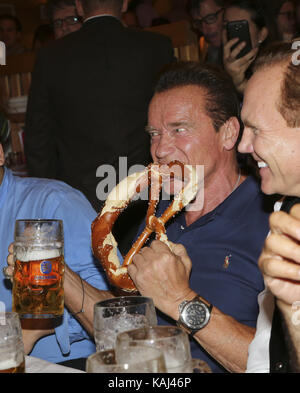 Les acteurs Arnold Schwarzenegger célèbrent avec la bière de masse dans le Schützenzelt Festzelt lors de la 184e Oktoberfest sur Theresienwiese le mardi 26 septembre 2017 à Munich | Verwendung weltweit Banque D'Images