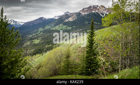 Vue du sentier principal vers mount sheba et montagnes à coeur ouvert et Spruce Meadows au début du printemps (south chilcotin Mountain park, BC, Canada). Banque D'Images