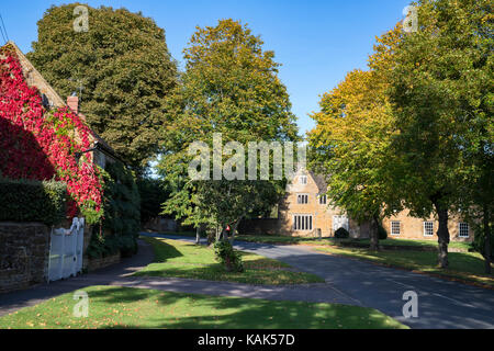 Rue bordée d'arbres à l'automne la lumière du soleil. Deddington, Oxfordshire, Angleterre Banque D'Images