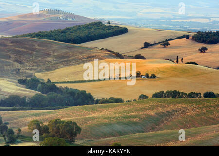Beau paysage de Toscane summer morning sunrise campagne en Italie. Banque D'Images