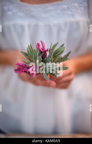 Libre des mains avec un brin de lavande Banque D'Images
