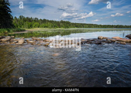 Cours supérieur du Mississipi au lac Itasca, au Minnesota Banque D'Images