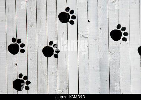 Mur en bois peint en noir a empreintes dans un cadre rustique, blanc, clôture. Banque D'Images