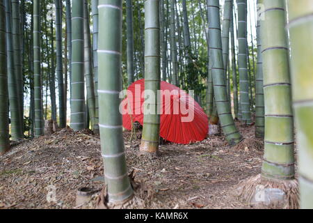 Papier fait main rouge ouverture parapluie dans la culture du Japon Banque D'Images