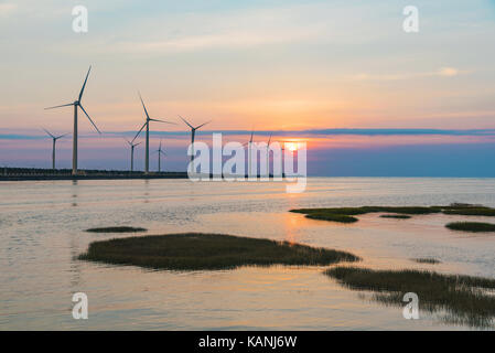 Gaomei paysage des zones humides pendant le coucher du soleil à Taiwan Banque D'Images