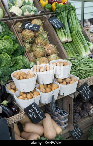 Des légumes bio en vente à Daylesford Organic farm shop festival d'automne. Daylesford, Cotswolds, Gloucestershire, Angleterre Banque D'Images