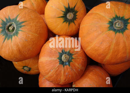 Pile de couleur orange vif, fruit tropical citrouilles isolé sur fond noir Banque D'Images