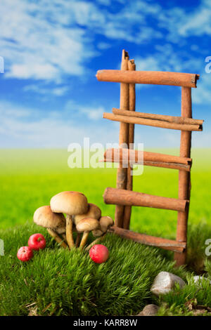 De Bain, champignons et petits fruits sur la fantasy green meadow Banque D'Images