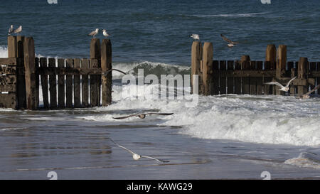 Vagues déferlantes sur la côte nord du comté de Norfolk, East Anglia.UK Banque D'Images